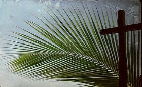 De Bijbelse betekenis van Palmpasen